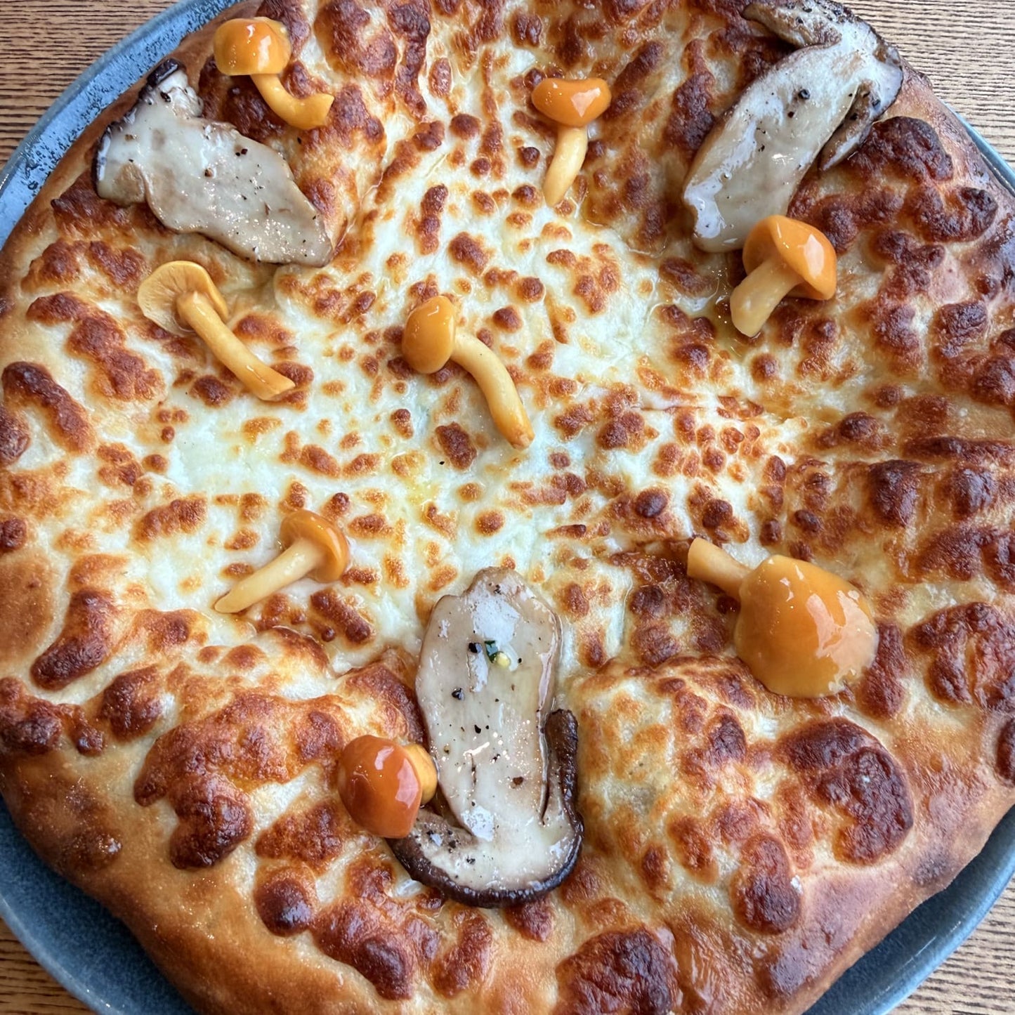 сирний пиріг з лісовими грибами та трюфелем